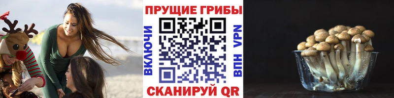 Галлюциногенные грибы GOLDEN TEACHER  Белая Калитва 